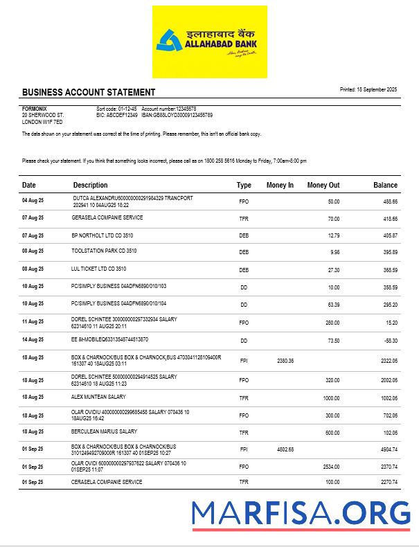 Blank Bank Allahabad organization checking account statement Word and PDF format example